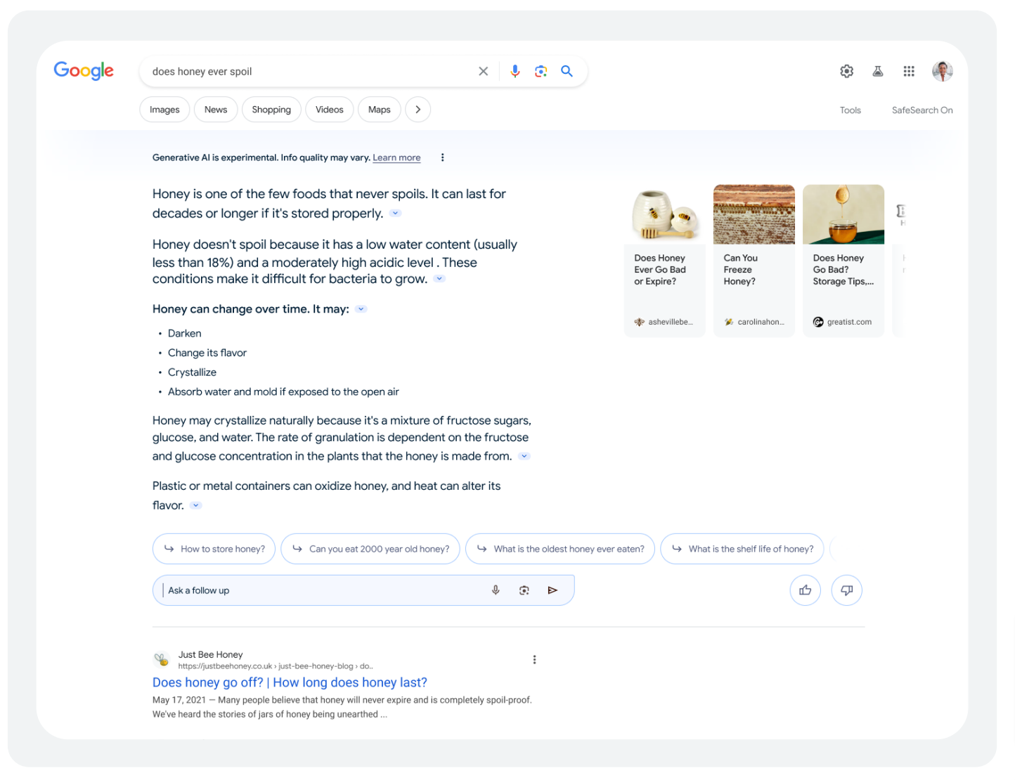 google-about-SGE-pdf